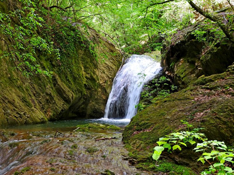 Село Кости - Казанчето. ЦЪФНАЛА зеленика и ГАЗЕНЕ на Велека